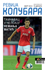 Nemanja Matić, fudbaler