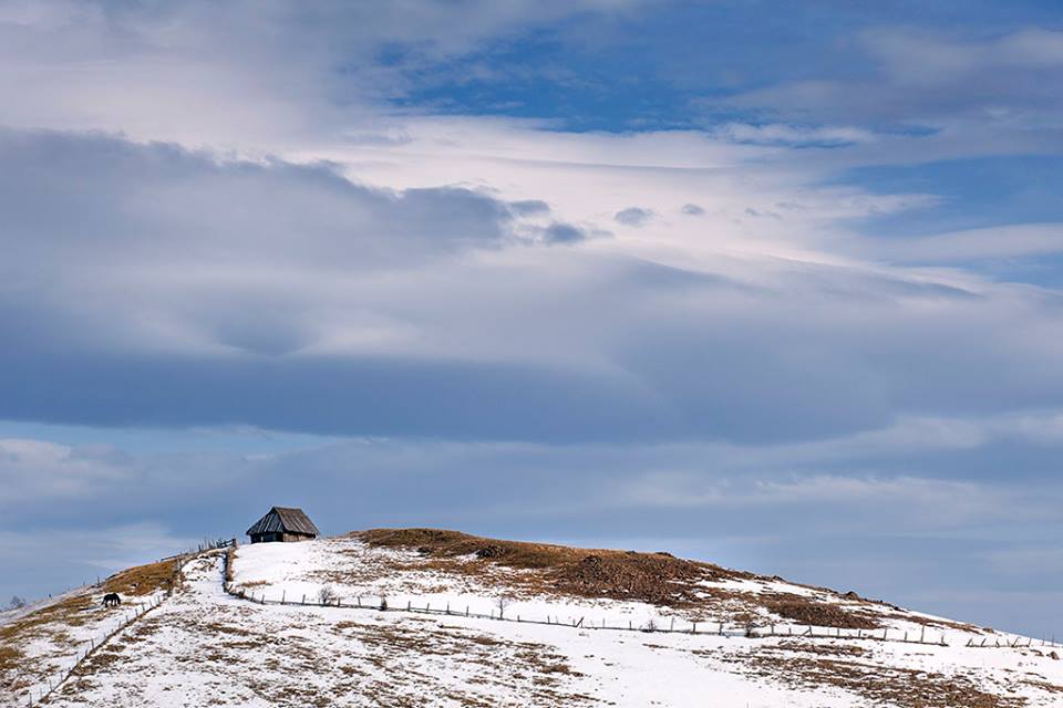 Zlatibor