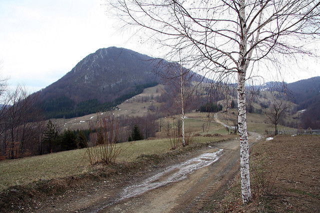 Pogled sa Debelog Brda