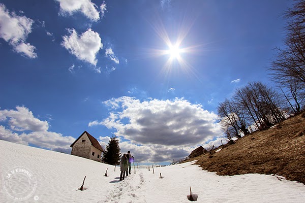 Snežni povlen