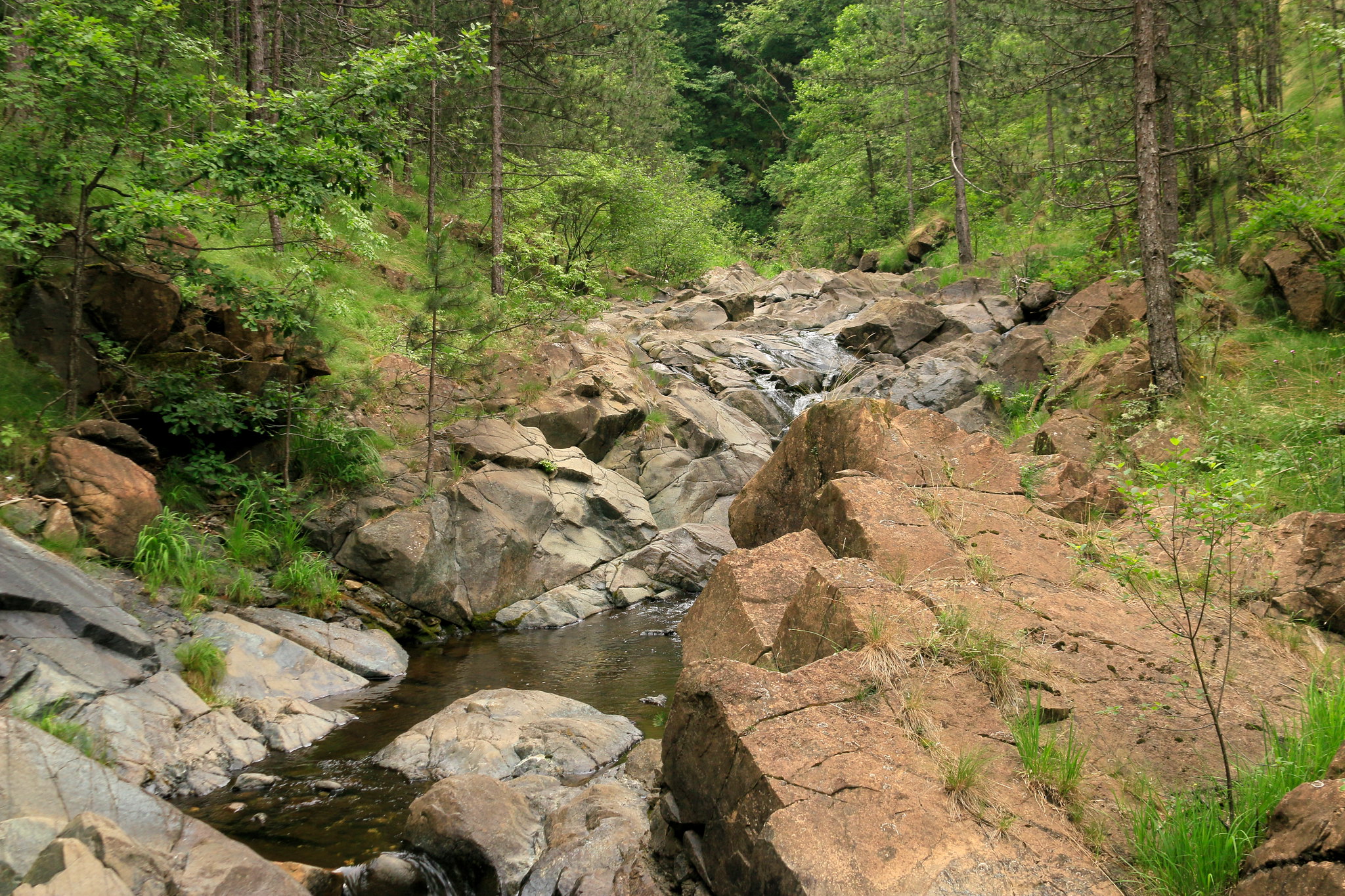 Kanjon Crne Reke, 23. jun 2019