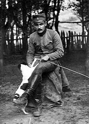 Ilija Živojinović, ratnik 1914-15.