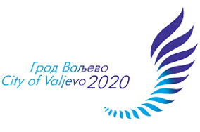 Vizija Grada Valjeva 2020, logo