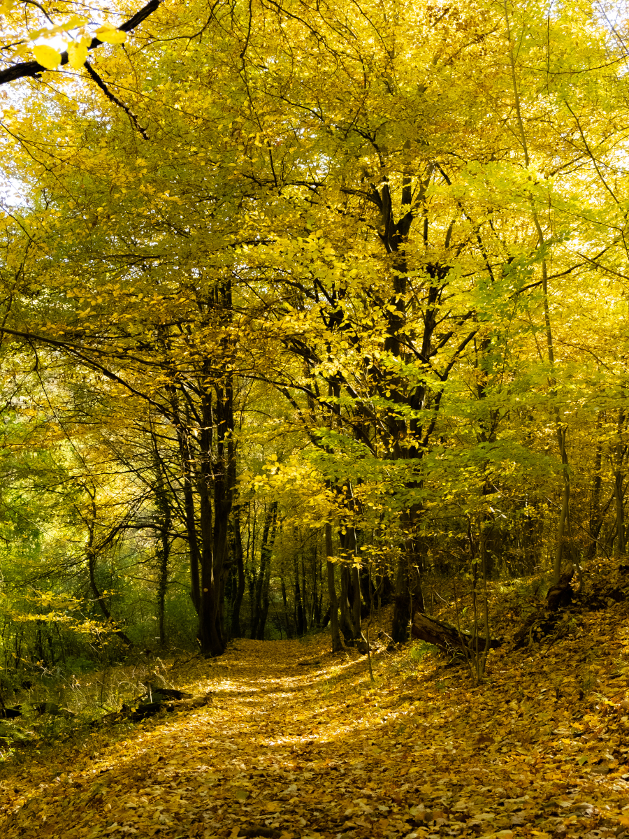 Gradac – Part II